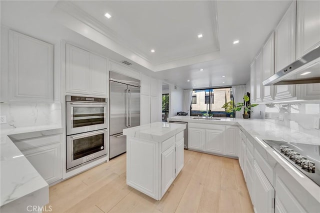 kitchen with a center island, tasteful backsplash, a tray ceiling, white cabinets, and appliances with stainless steel finishes