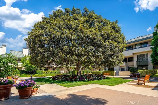 view of property's community featuring a lawn