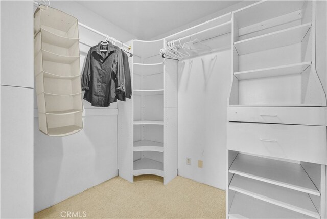 spacious closet with carpet flooring