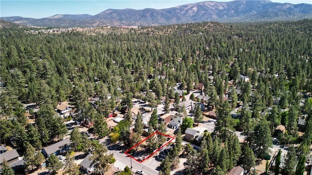 bird's eye view with a mountain view