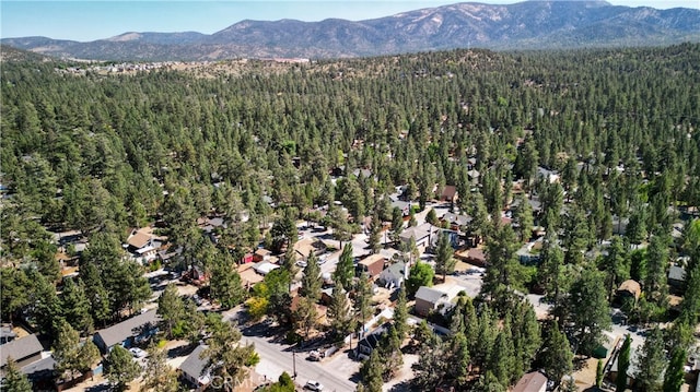 drone / aerial view featuring a mountain view