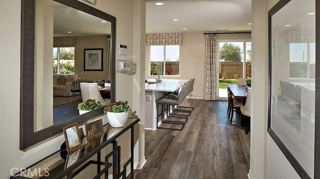 corridor with dark hardwood / wood-style flooring