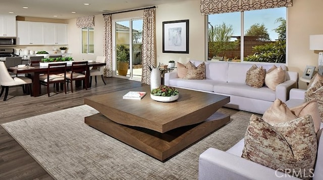 living room with dark hardwood / wood-style floors