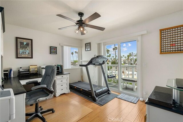 exercise area with ceiling fan and light wood-type flooring