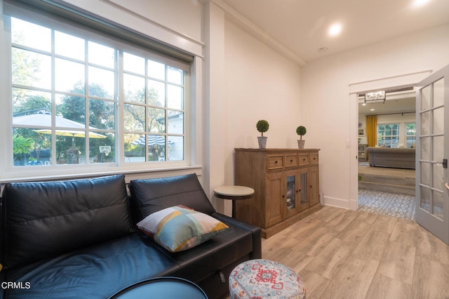 living room featuring a healthy amount of sunlight and light hardwood / wood-style floors