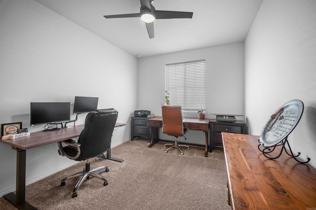 carpeted office featuring ceiling fan