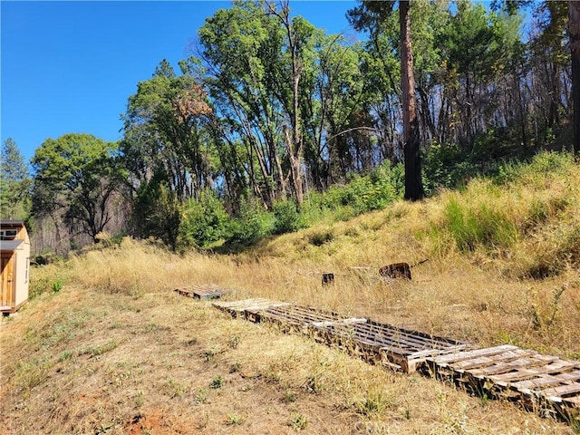 300 Bald Rock Rd, Berry Creek, CA 95916 - view of yard