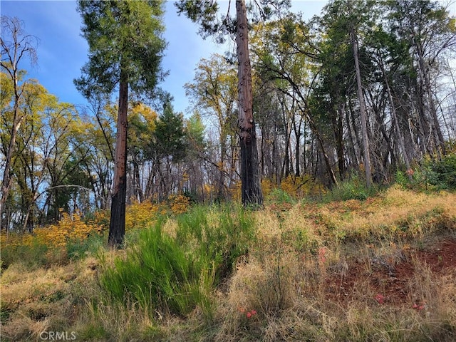 300 Bald Rock Rd, Berry Creek, CA 95916 - view of undeveloped land