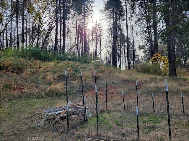 300 Bald Rock Rd, Berry Creek, CA 95916 - view of yard