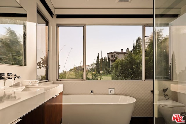 bathroom featuring a bathtub, vanity, and toilet