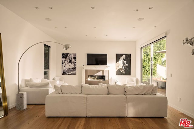 living room with light hardwood / wood-style flooring