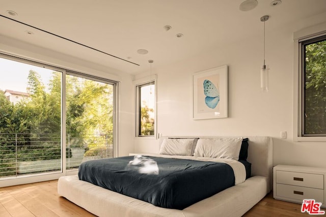 bedroom featuring light hardwood / wood-style flooring