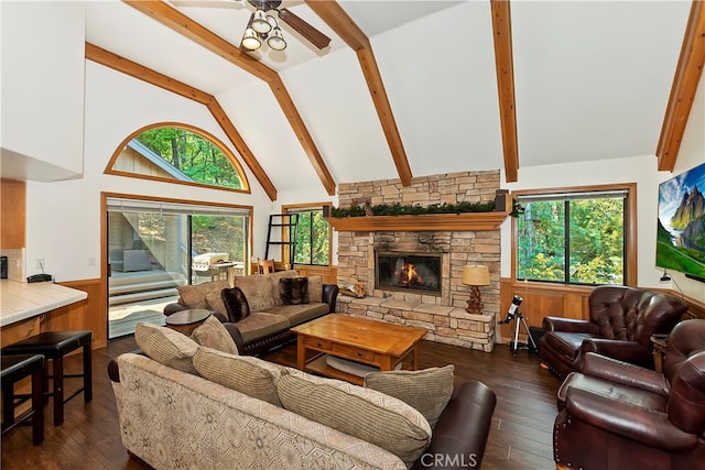 living room with a healthy amount of sunlight, a fireplace, dark hardwood / wood-style floors, and high vaulted ceiling