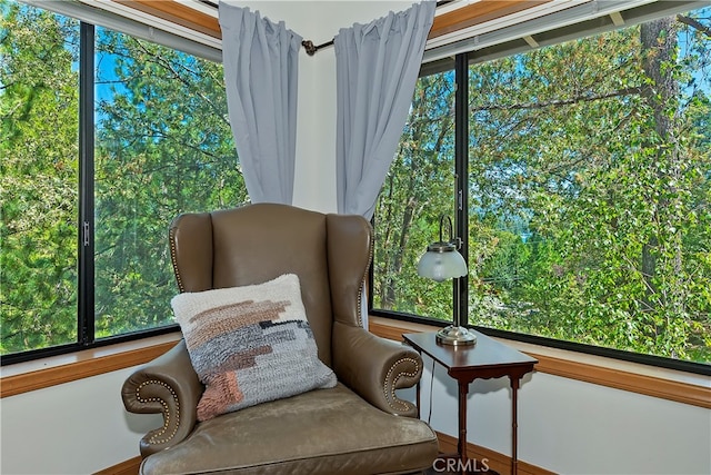 living area featuring plenty of natural light