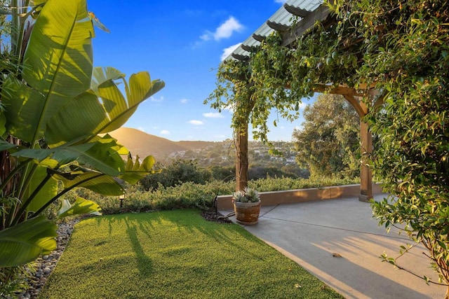 view of yard with a mountain view and a patio area