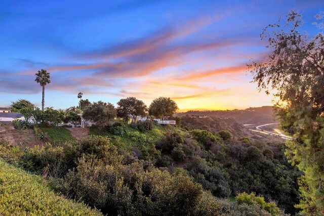 view of nature at dusk