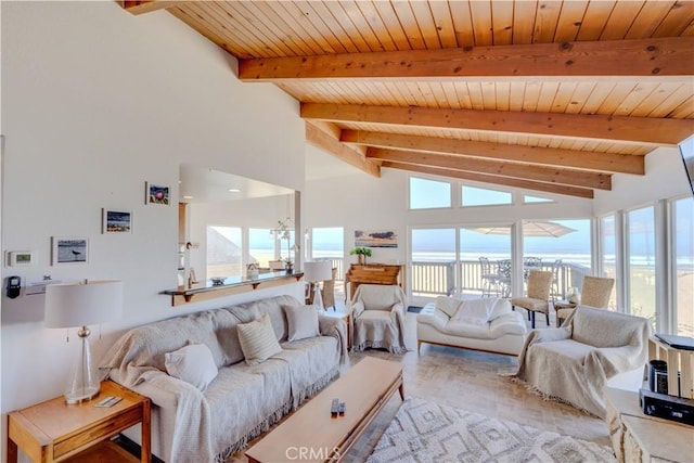 living room featuring beamed ceiling, a healthy amount of sunlight, and wooden ceiling