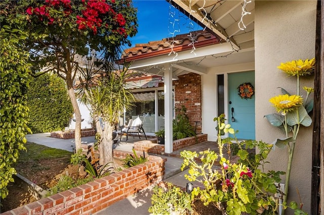 view of exterior entry with a patio area