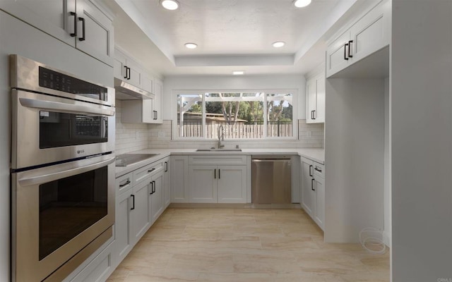 kitchen with a raised ceiling, light countertops, stainless steel appliances, under cabinet range hood, and a sink