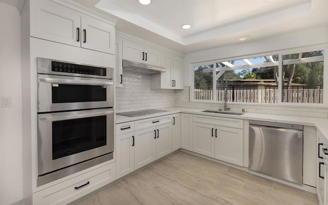 kitchen with a tray ceiling, stainless steel appliances, tasteful backsplash, a sink, and under cabinet range hood