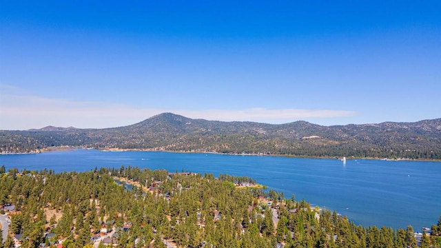 water view featuring a mountain view