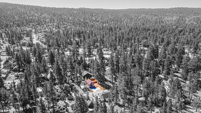 40221 Esterly, Big Bear Lake, CA 92315 - photo 29