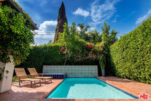 view of pool with a patio