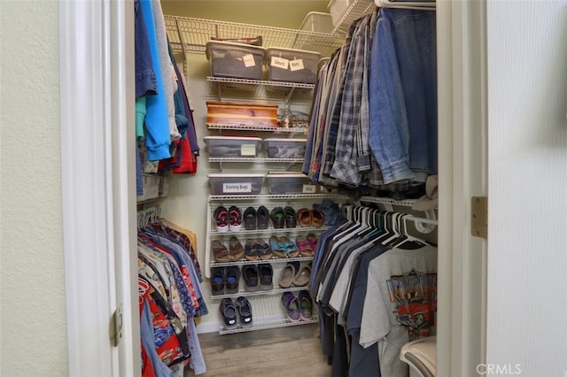 walk in closet with wood-type flooring