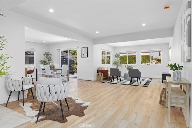 living room with light hardwood / wood-style floors