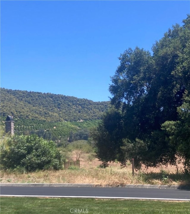 16221 Pauma Valley Dr, Pauma Valley, CA 92061 - photo 8