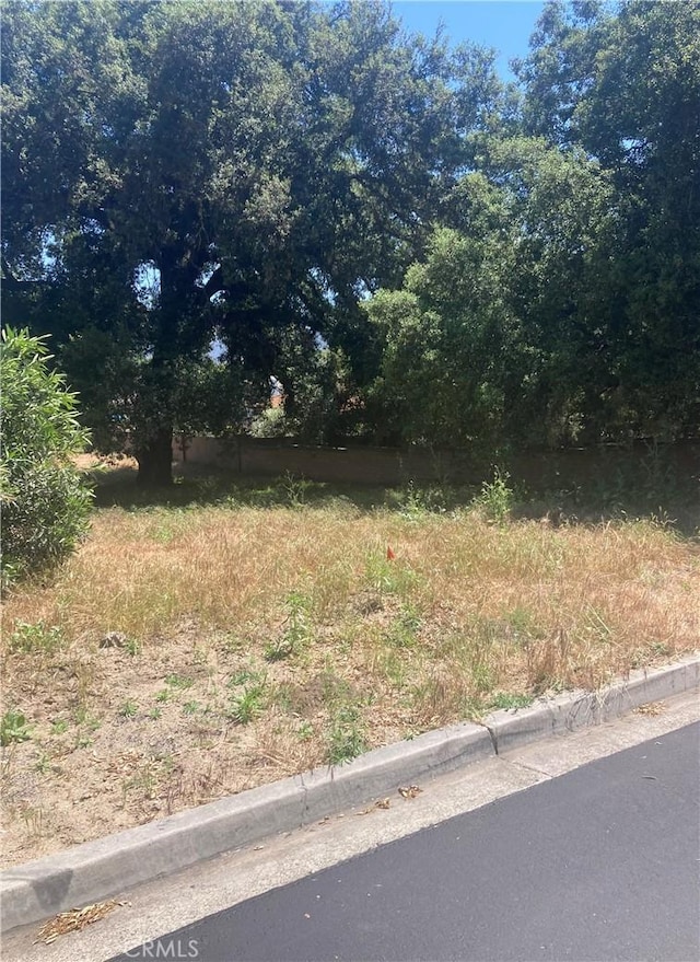 16221 Pauma Valley Dr, Pauma Valley, CA 92061 - photo 2