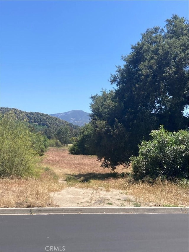 16221 Pauma Valley Dr, Pauma Valley, CA 92061 - photo 4