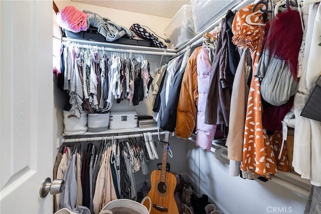 view of spacious closet