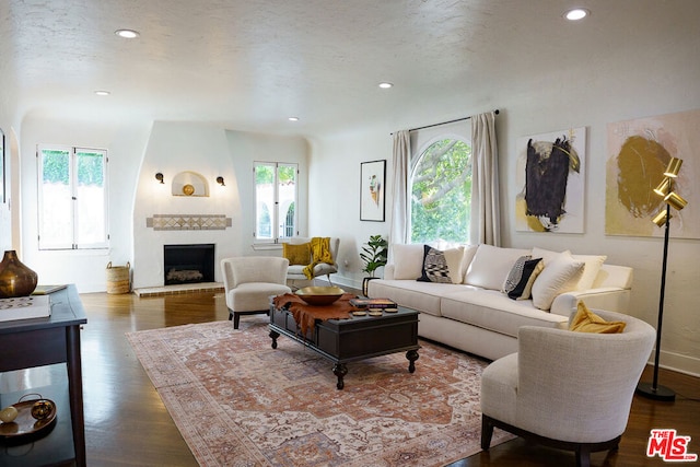 living room with a fireplace and wood-type flooring