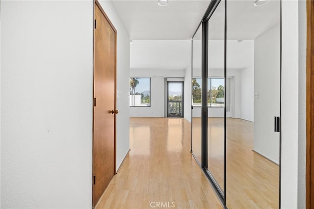 hall with light hardwood / wood-style flooring