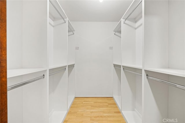 walk in closet with light wood-type flooring