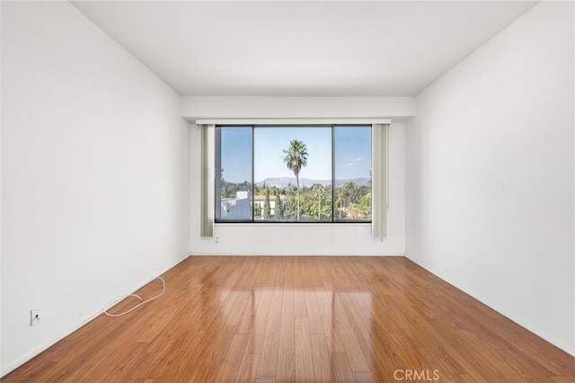 unfurnished room featuring wood-type flooring