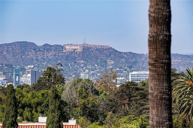 view of mountain feature