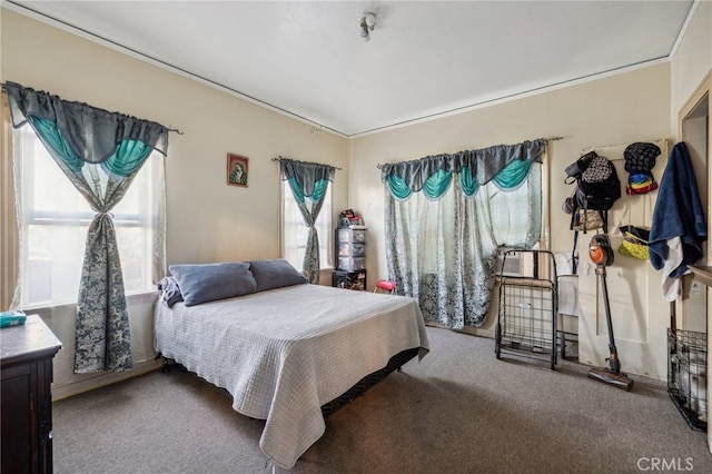 bedroom with multiple windows and carpet floors