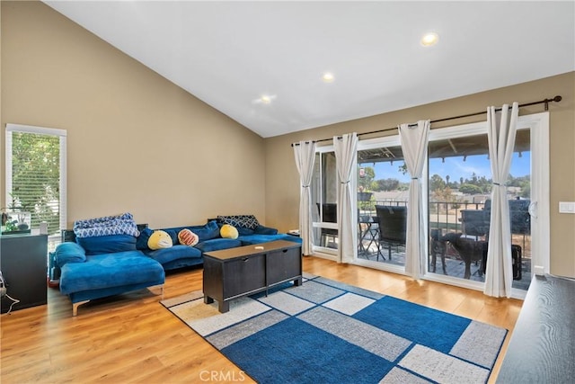 living room featuring wood-type flooring and vaulted ceiling