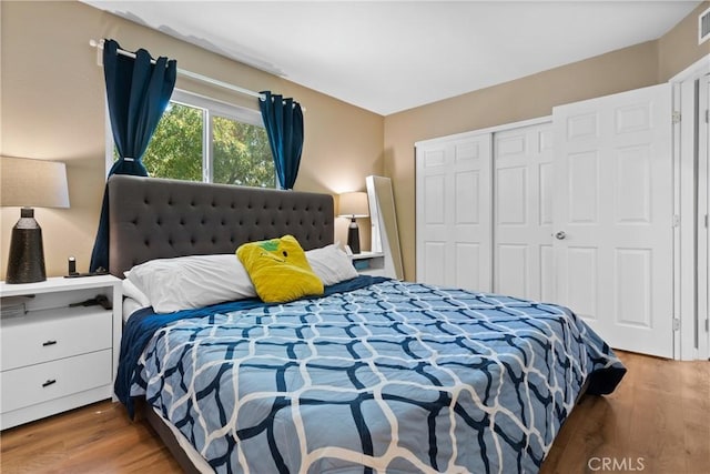 bedroom with a closet and dark wood-type flooring