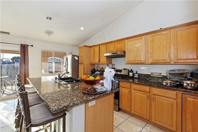 kitchen featuring lofted ceiling, a kitchen island with sink, sink, a breakfast bar area, and stainless steel appliances