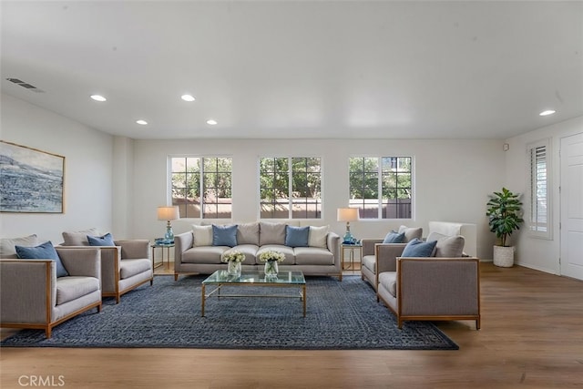 living room featuring plenty of natural light and hardwood / wood-style floors