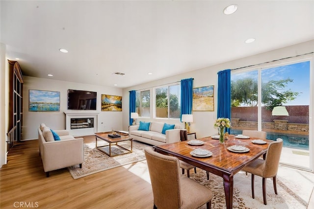 living room featuring light hardwood / wood-style floors