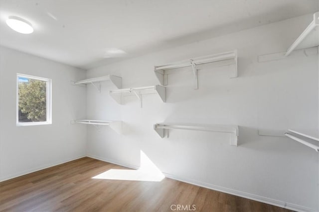 walk in closet featuring hardwood / wood-style flooring