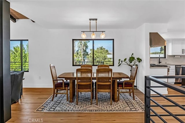 dining area featuring light hardwood / wood-style floors