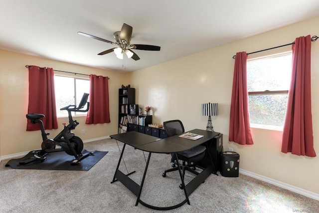 carpeted office featuring ceiling fan