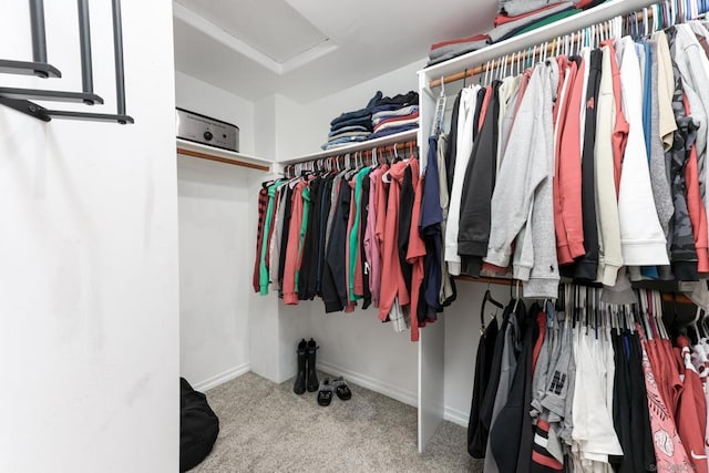 walk in closet with light carpet