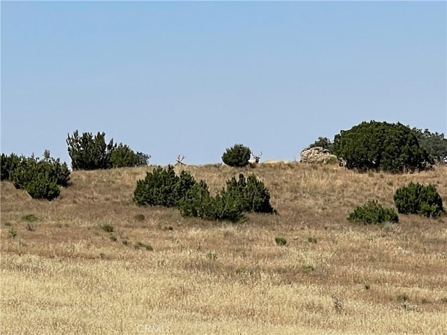 0 Carissa Hwy, Santa Margarita, CA 93453 - photo 9
