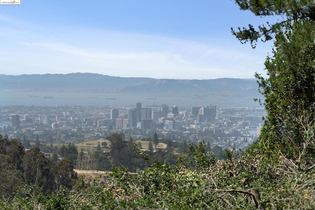 exterior space featuring a mountain view